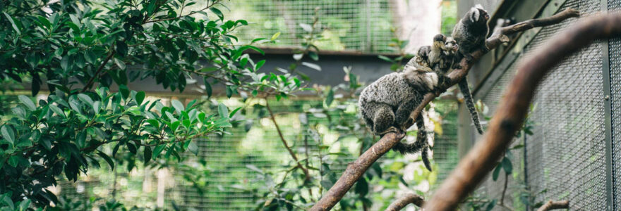 parc animalier lyon